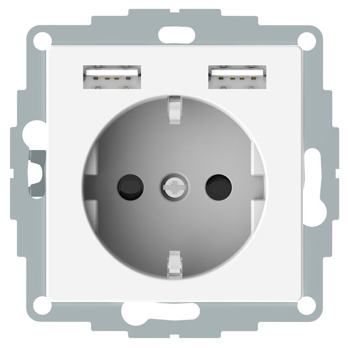 Розетка с 2xUSB Schneider Electric AQUAIN, скрытый монтаж, с заземлением, белый, MTN2366-0319